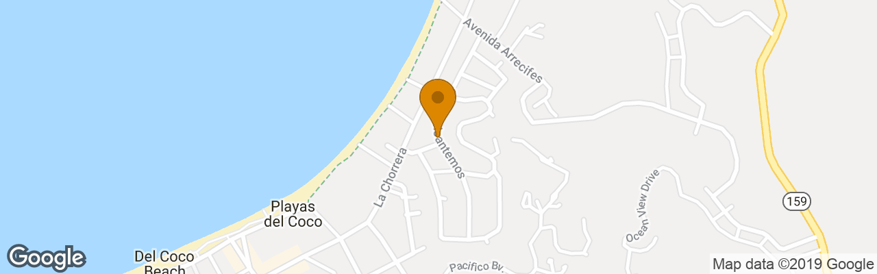 Green Forest Of Coco Beach Studios 