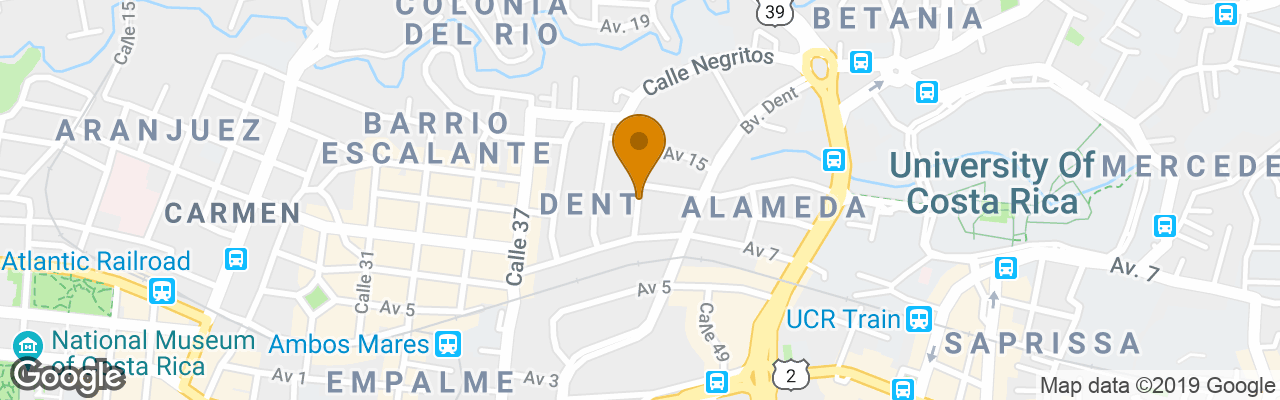 Hostal The Garden House 