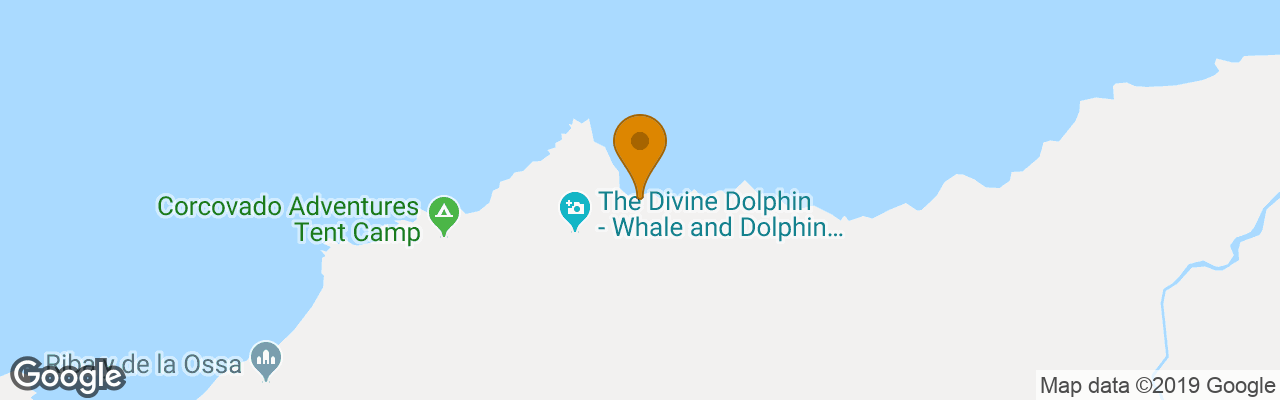 Corcovado Jungle Hostel 