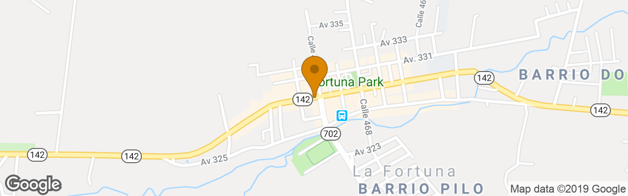 Hotel Fortuna Downtown Inn 