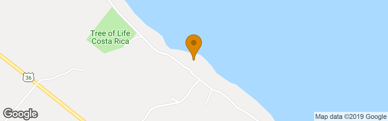 Bed and Breakfast La Diosa 