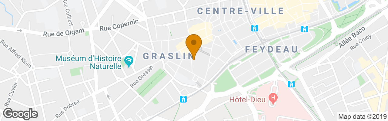 Surprenantes - Le Santeuil 