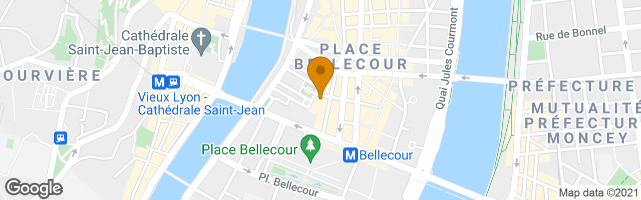 Hôtel Des Célestins 