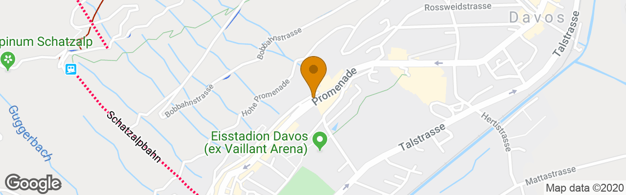 Steigenberger GrandHotel Belvédère 