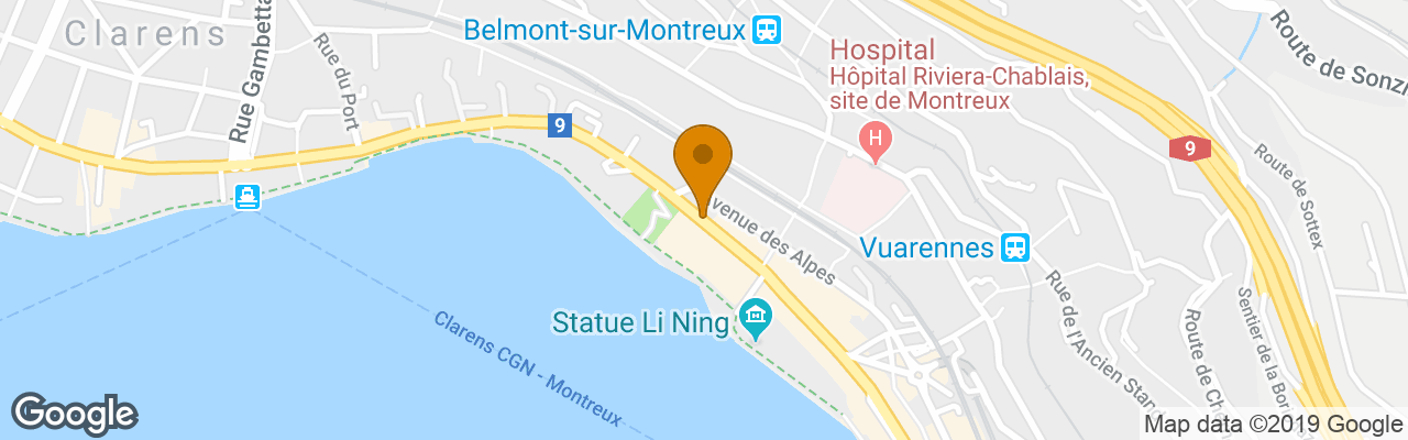 Hotel Royal Plaza Montreux & Spa 