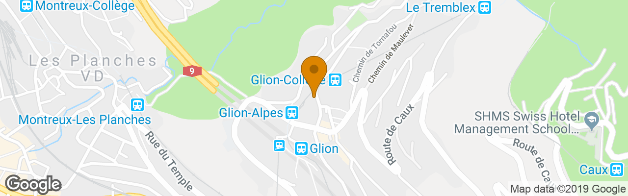 Hotel Des Alpes Vaudoises 