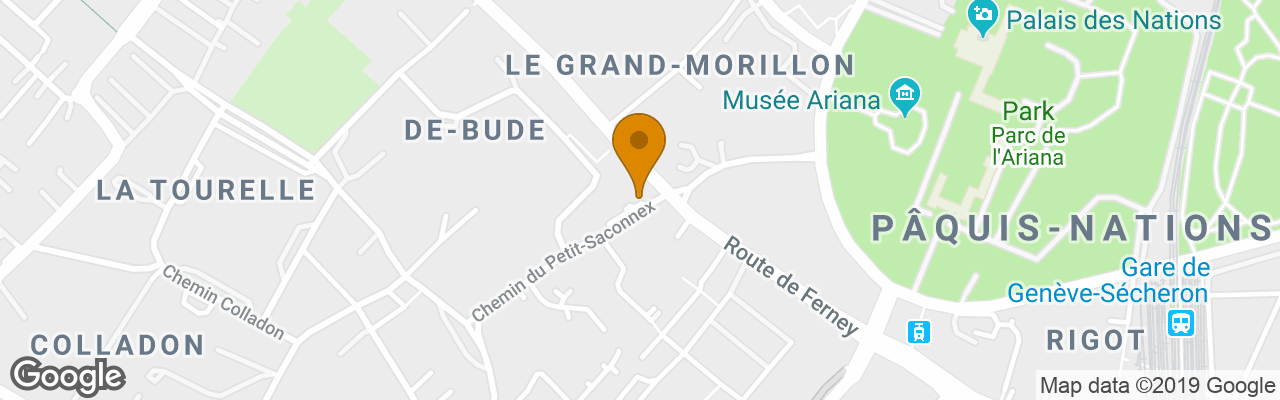 Hotel Intercontinental Geneve 