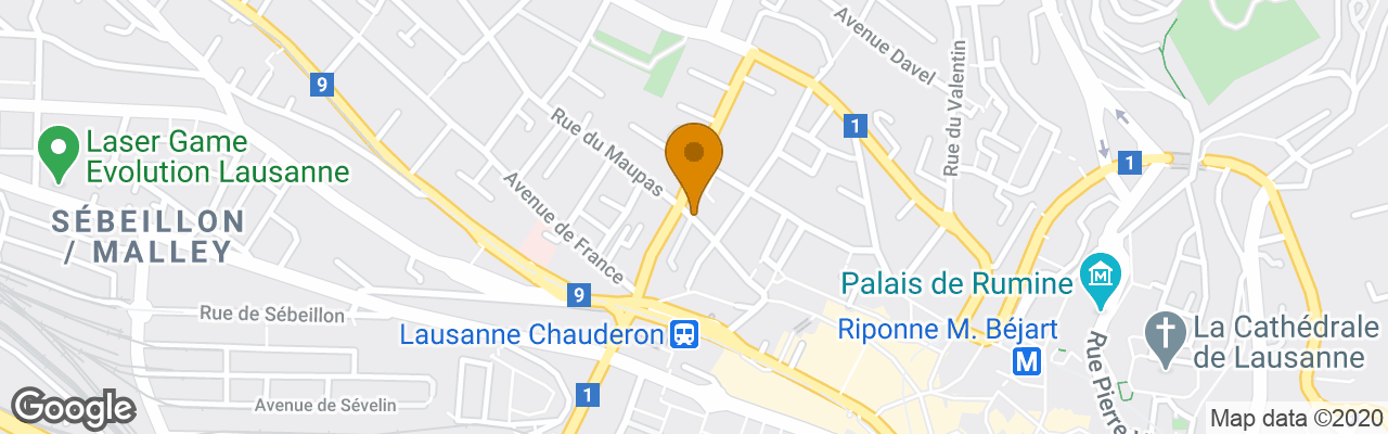 Hotel Ibis Lausanne Centre 