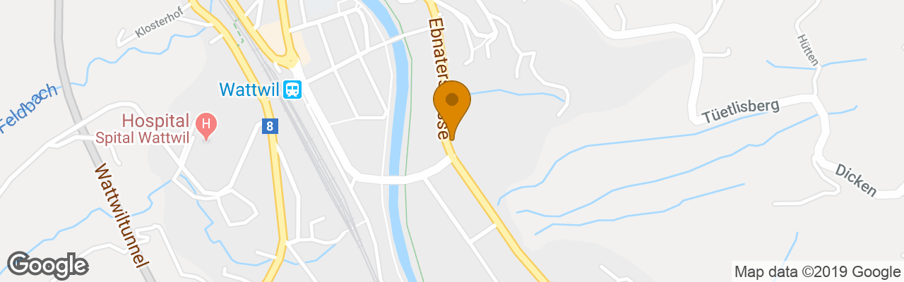 Hotel Löwen Wattwil 