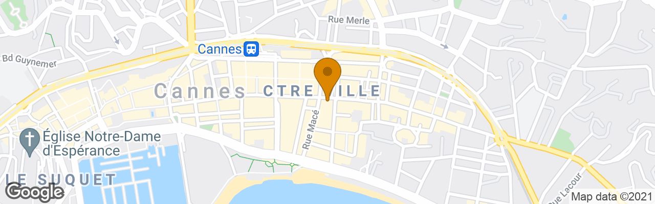 Neotelia Properties Rue D'antibes 