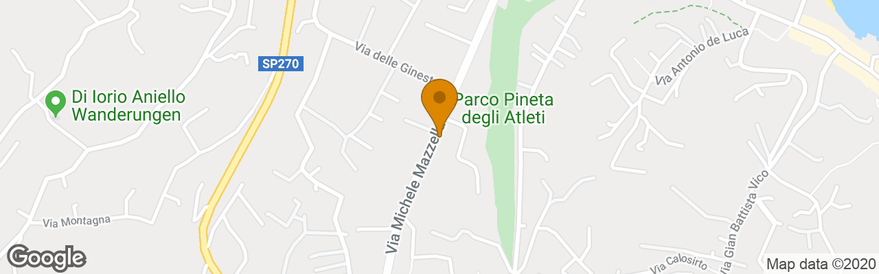 Hotel Continental Ischia 