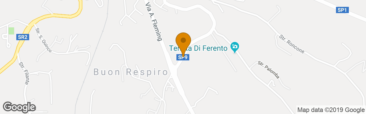 Hotel Villa Rossi Danielli 