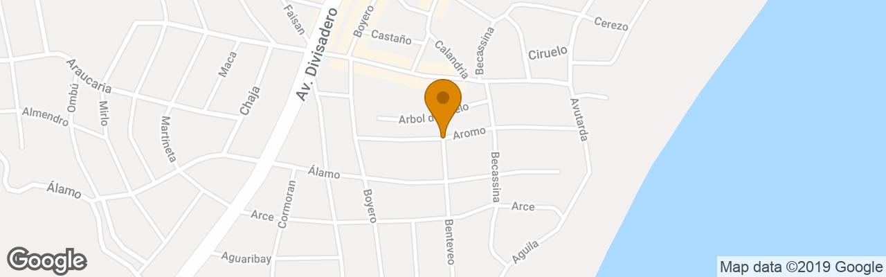 Arbol Del Cielo Carilo 