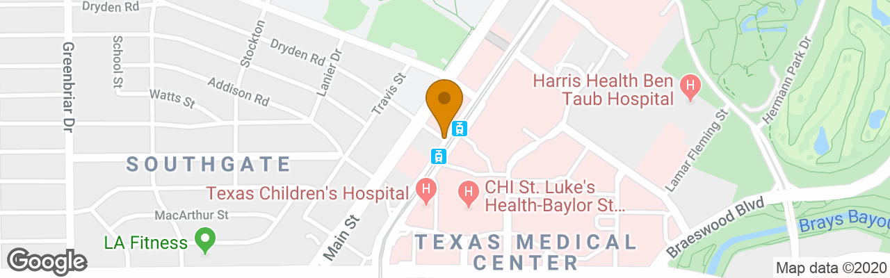 Hotel Houston Marriott at the Texas Medical Center 