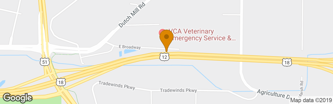 Hotel Rodeway Inn South 