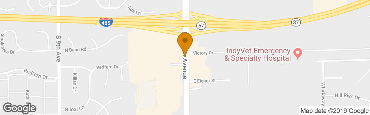 Hotel Ramada Inn South 