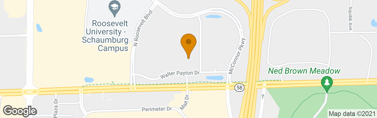 Hotel Hyatt Regency Schaumburg Chicago 