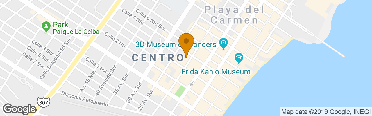 Hotel Casa de las Flores 