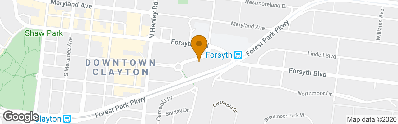 Hotel The Ritz-Carlton, St. Louis 