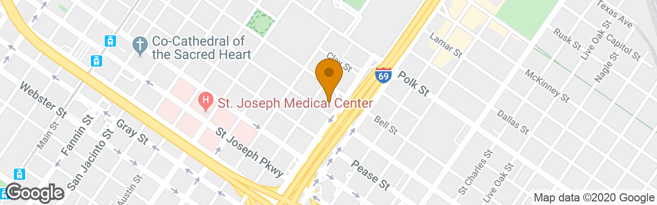 Holiday Inn Express Hotel & Suites Houston Downtown Convention 