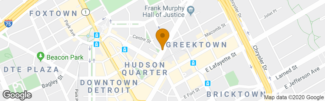 Hotel Hilton Garden Inn Detroit Downtown 