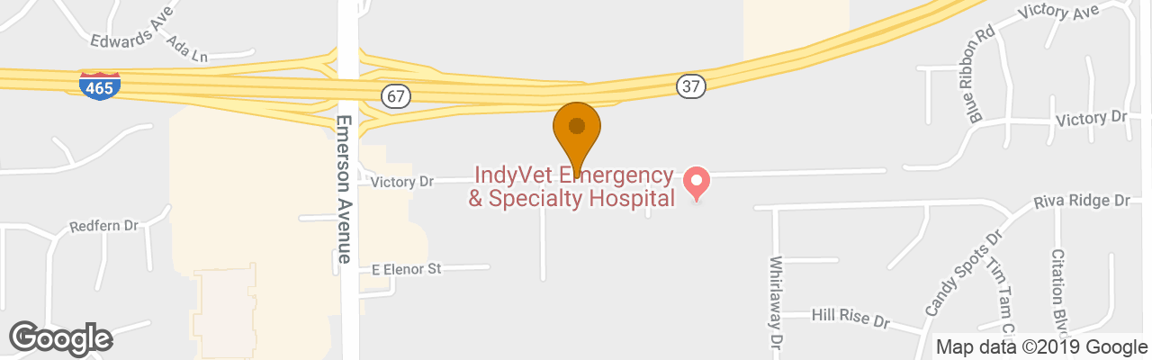 Hotel Holiday Inn Express Indianapolis - Southeast 