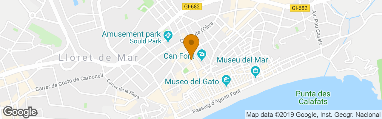 Apartamentos Magnolia 