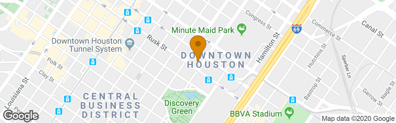 Hotel Hampton Inn Houston Downtown 