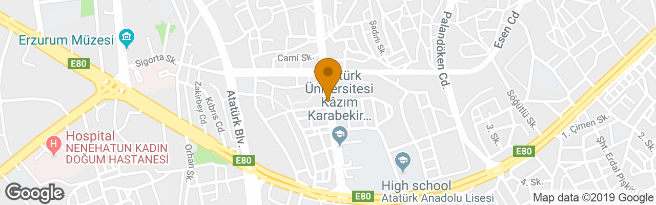 Buyuk Erzurum Oteli 