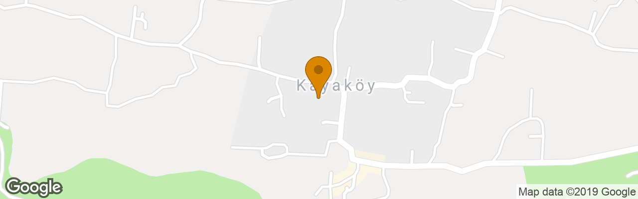 The Olive Tree Studios 