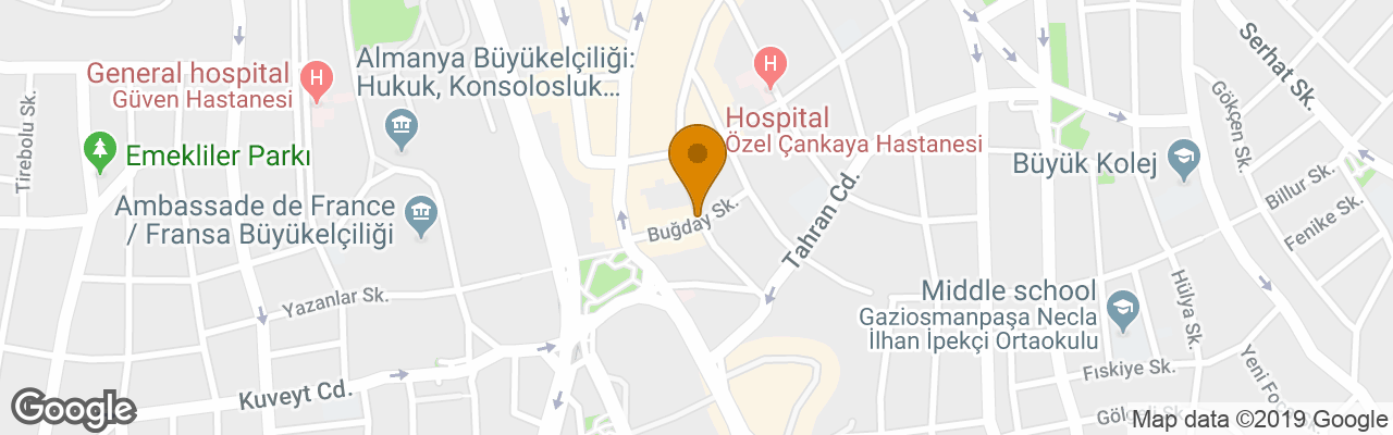 Hotel Divan Ankara 