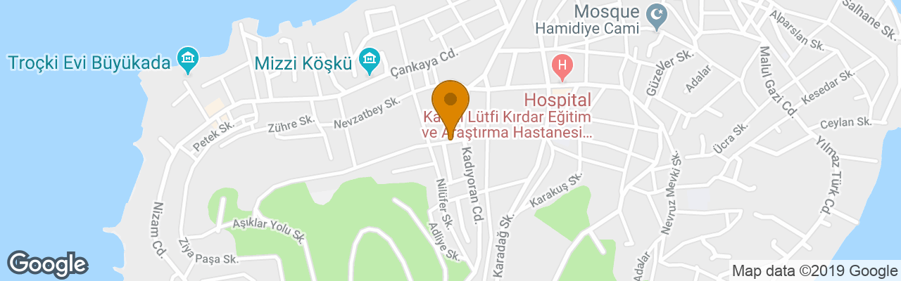 Hotel Buyukada Koskorman Boutique 