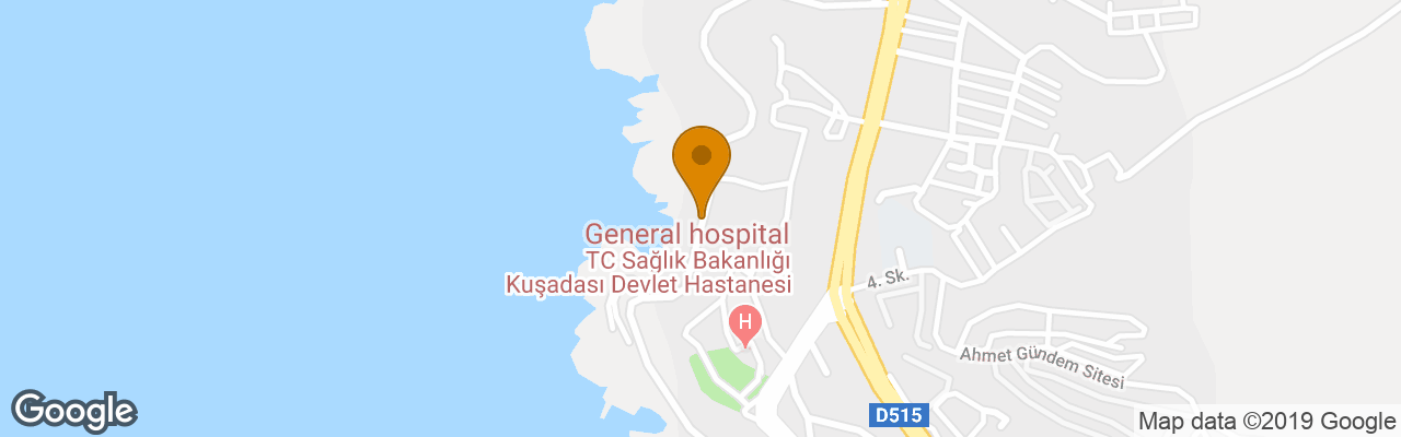 The Palm Club Apartments 