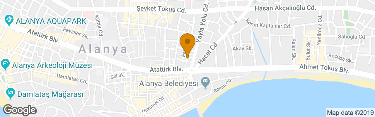 Hotel Fortune Center 