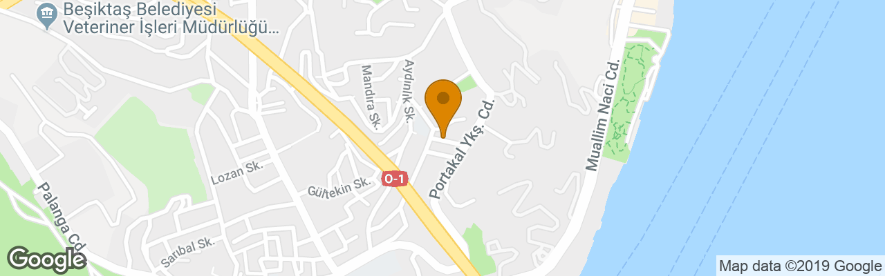 Hotel Wilitton Bosphorus House 