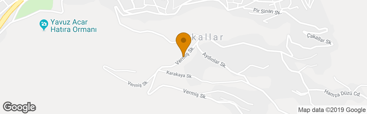 Hotel The Apple Palace 