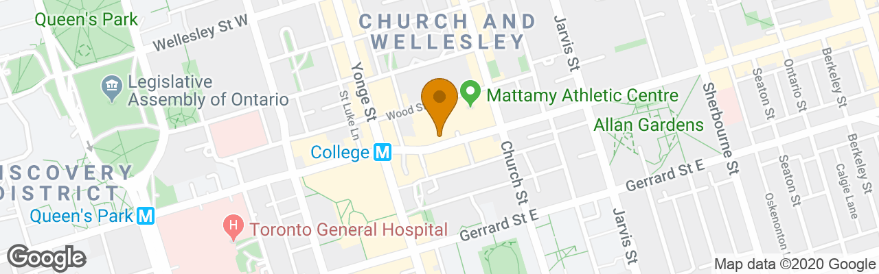 Hotel Holiday Inn Toronto Downtown Centre