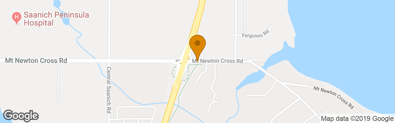 Hotel Quality Inn Waddling Dog