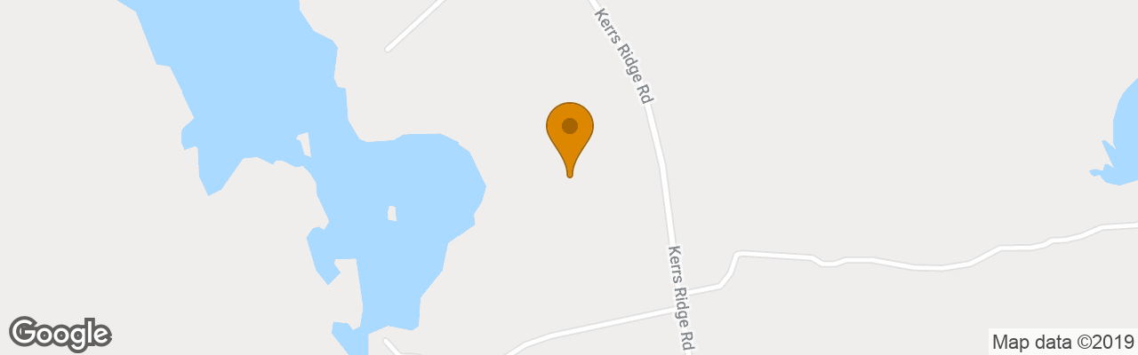 Hotel The Algonquin Resort