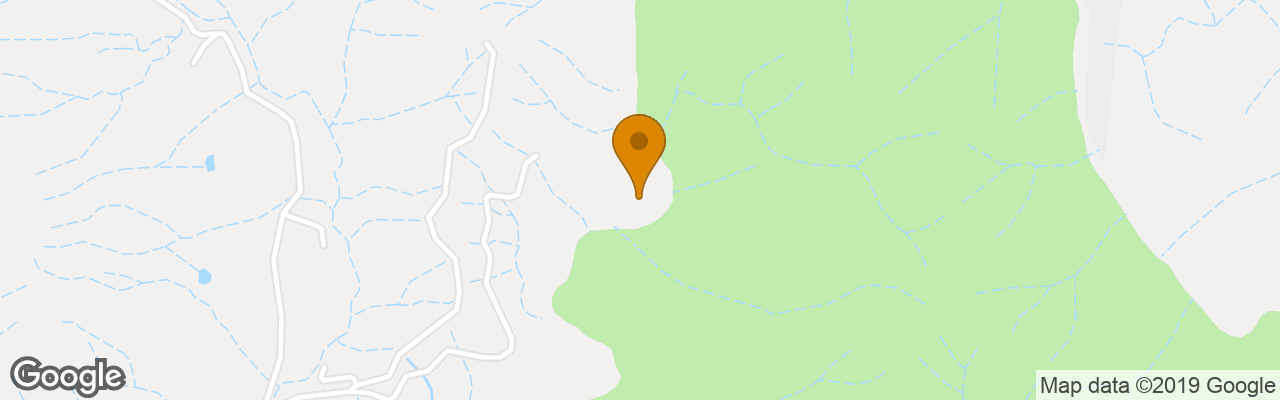 Hotel Cedar Park Rainforest Resort