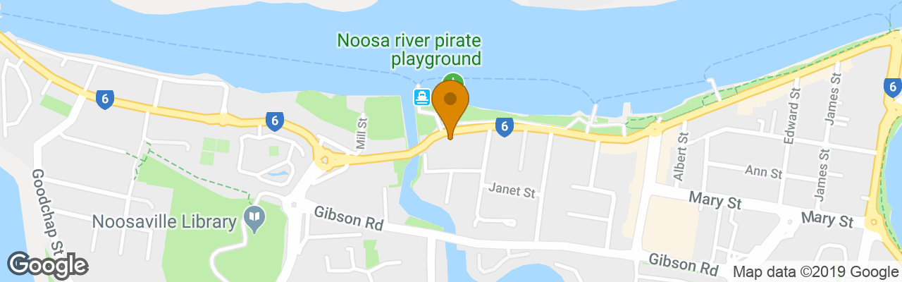 Noosa River Palms