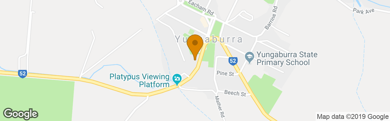 Curtain Fig Tree Motel