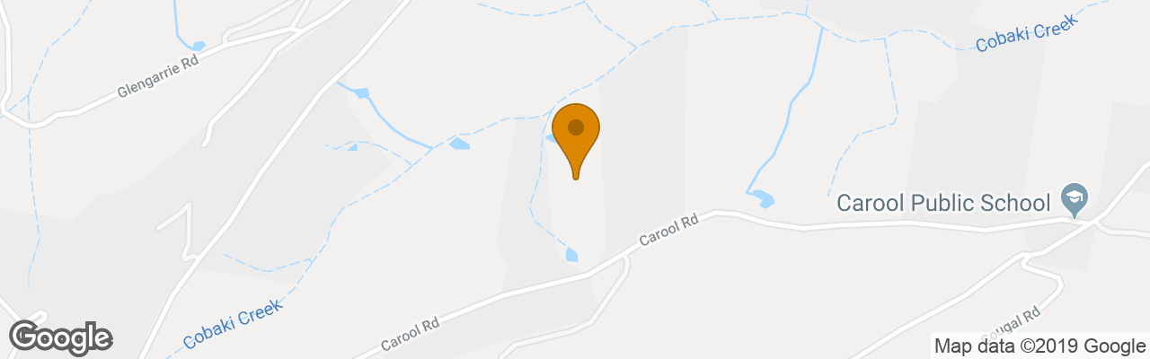 Resort Tailwaggers Rainforest Retreat