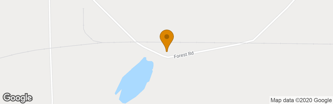 Forest Bed & Breakfast