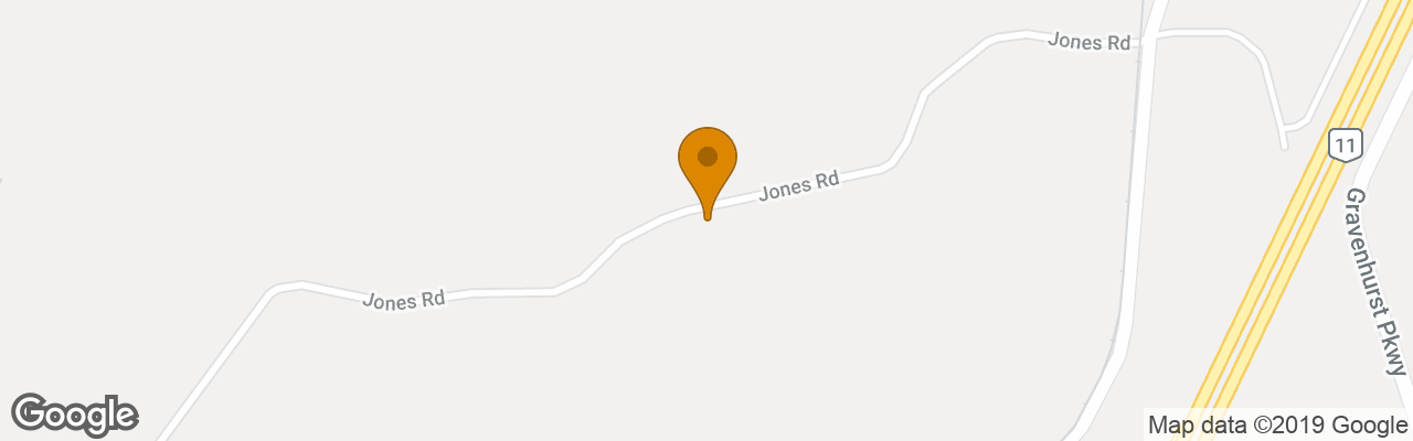 Bear & Butterfly Bed And Breakfast