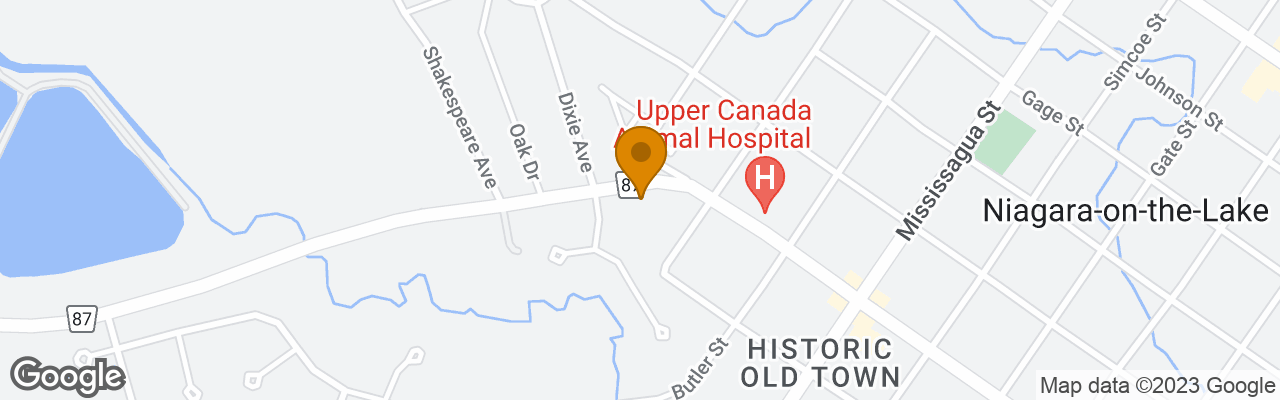 Bed and Breakfast Orchid Inn