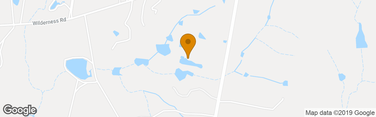 Hotel Leaves And Fishes