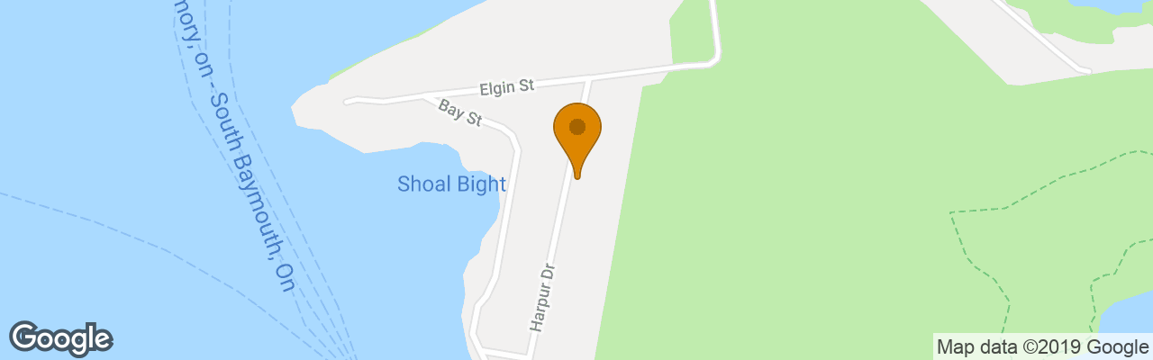 The Forest House B&b