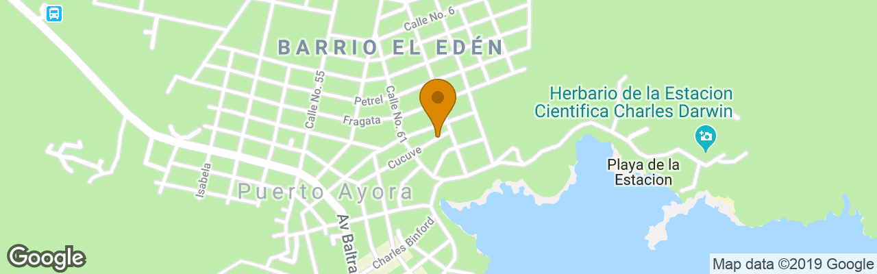 Hotel Red Mangrove Divers Lodge