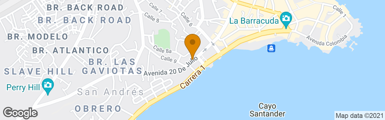 Hotel Posada Nativa Lizard House